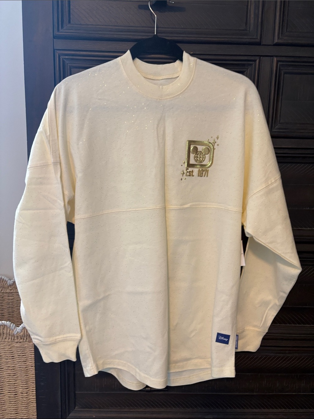 Disney Spirt Jersey